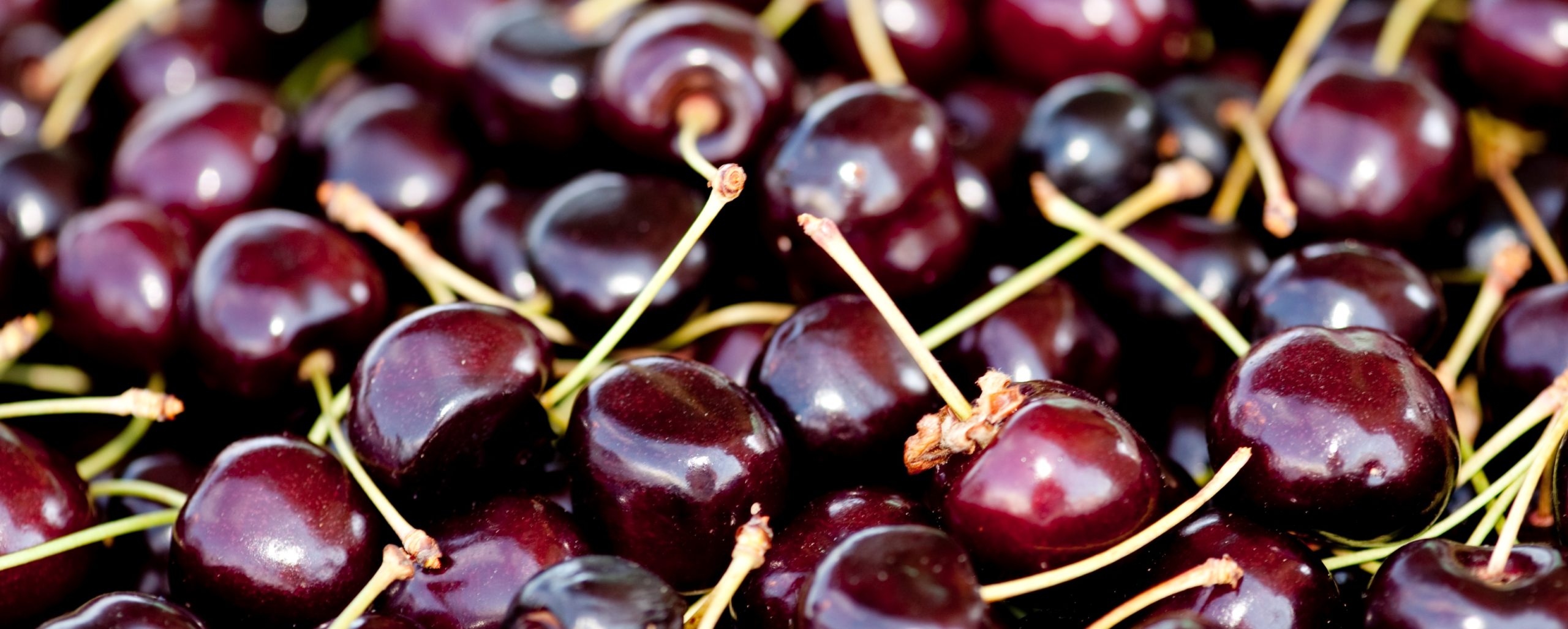 FLATHEAD CHERRIES Ways to Enjoy Montana’s Famous Fruits Kalispell