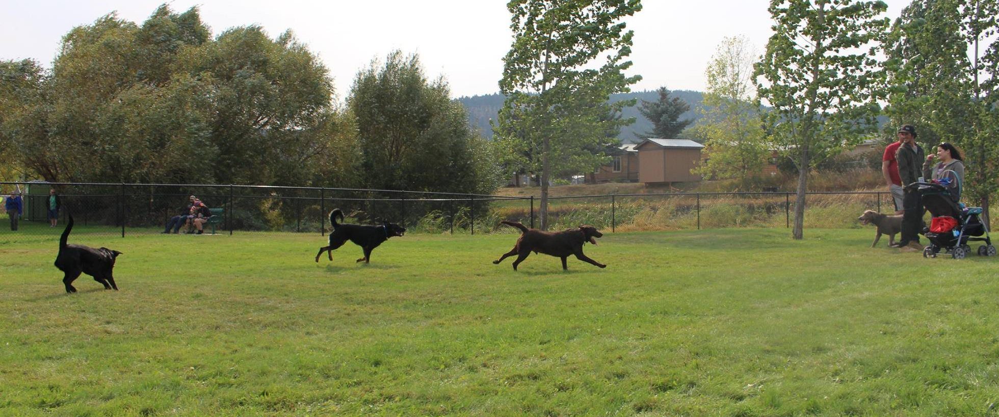 Dog Friendly Kalispell